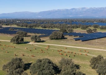 Planta solar Statkraft Talayuela II, Cáceres