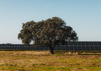 Montañas y fiordo. (Foto: Lars Petter Pettersen)