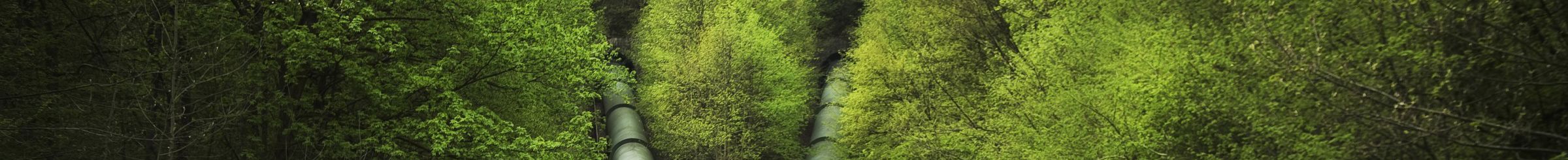 Tuberías de presión en el bosque