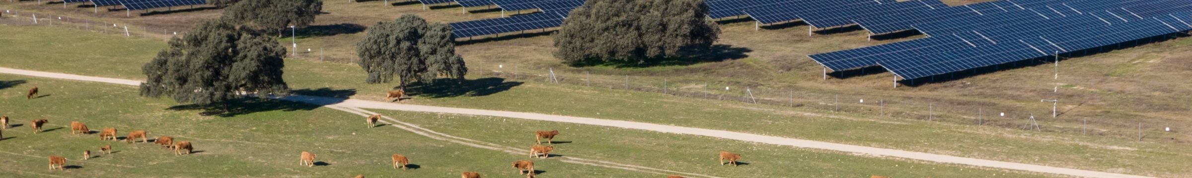 Planta solar Talayuela II, Statkraft, Cáceres