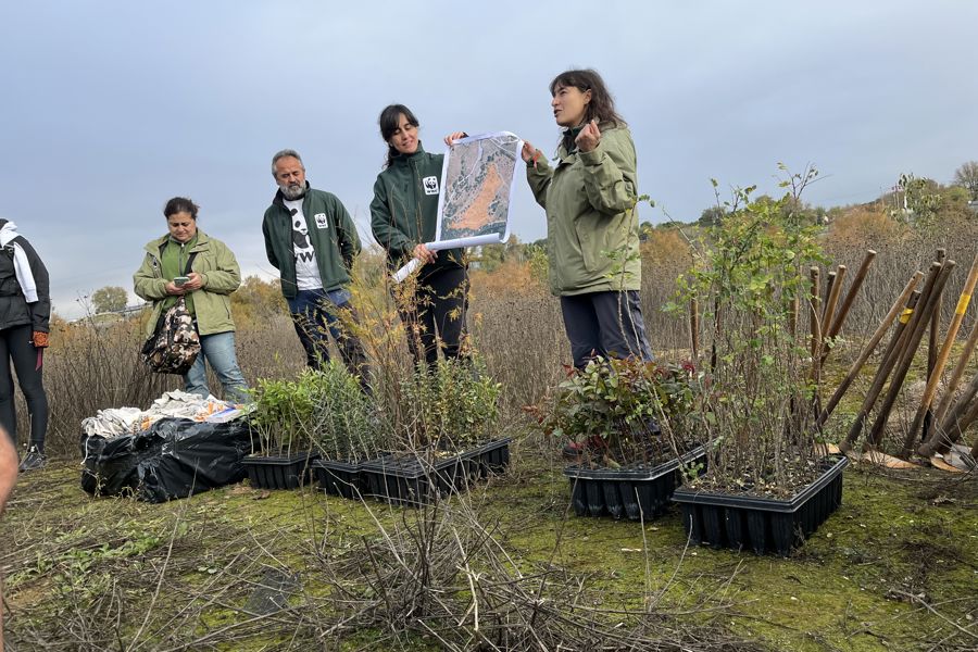 WWF explica la jornada de voluntariado Madrid