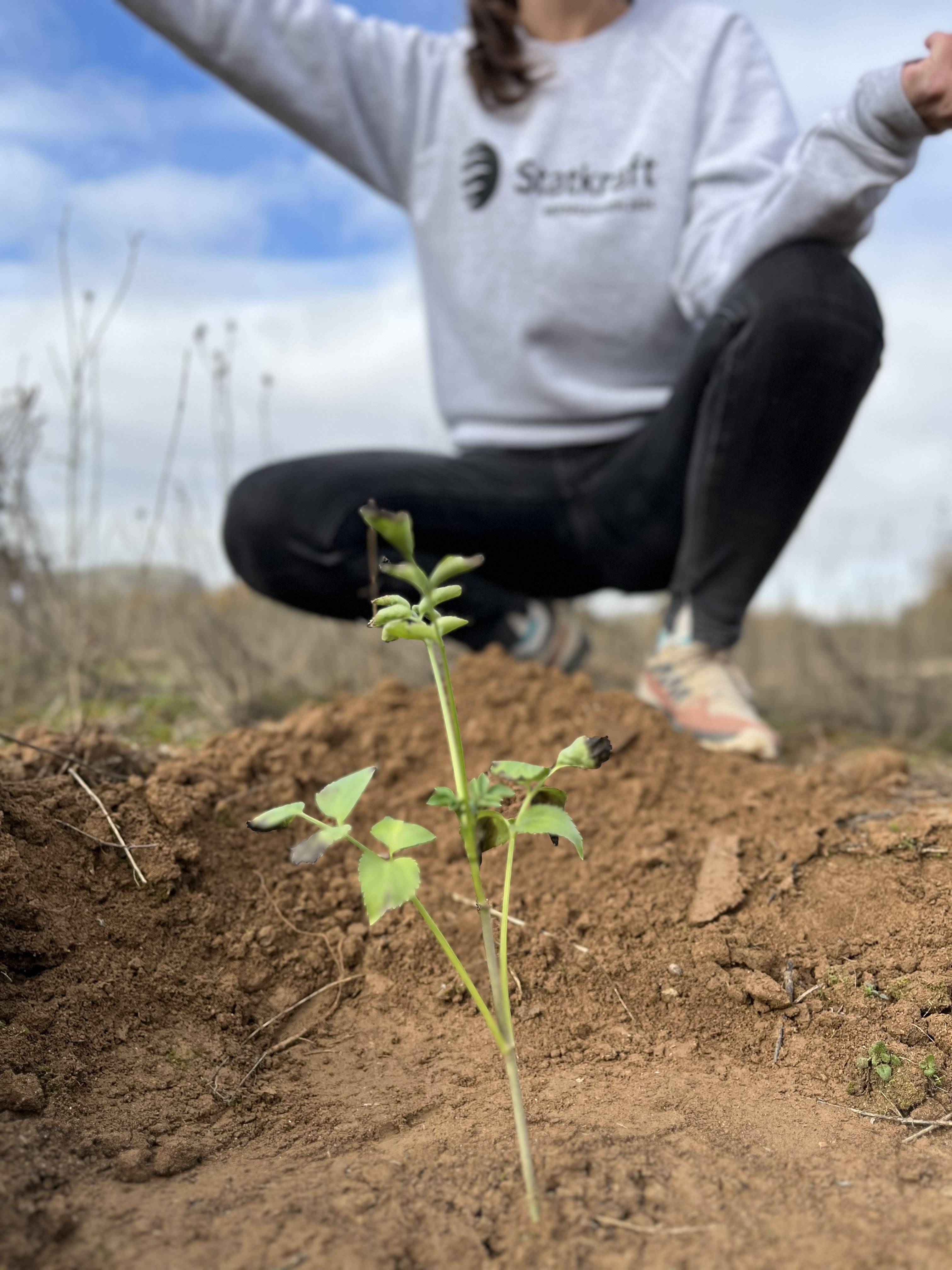 Genérica Jornada de Voluntariado Madrid